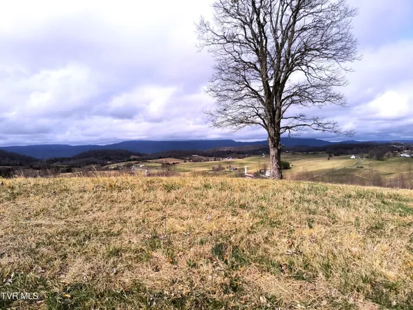 $29,900 | Lot 44 Chimney Top Lane, Unit 44, Chuckey, TN 37641
