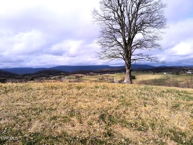 $29,900 | Lot 44 Chimney Top Lane, Unit 44, Chuckey, TN 37641