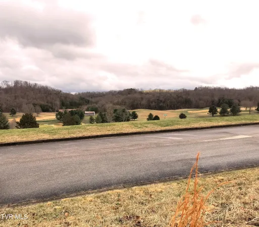 $29,900 | Lot 44 Chimney Top Lane, Unit 44, Chuckey, TN 37641