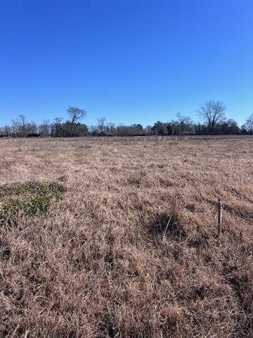 4544 Navy’s Way Road Boyce, LA 71409 - Photo 3 of 9