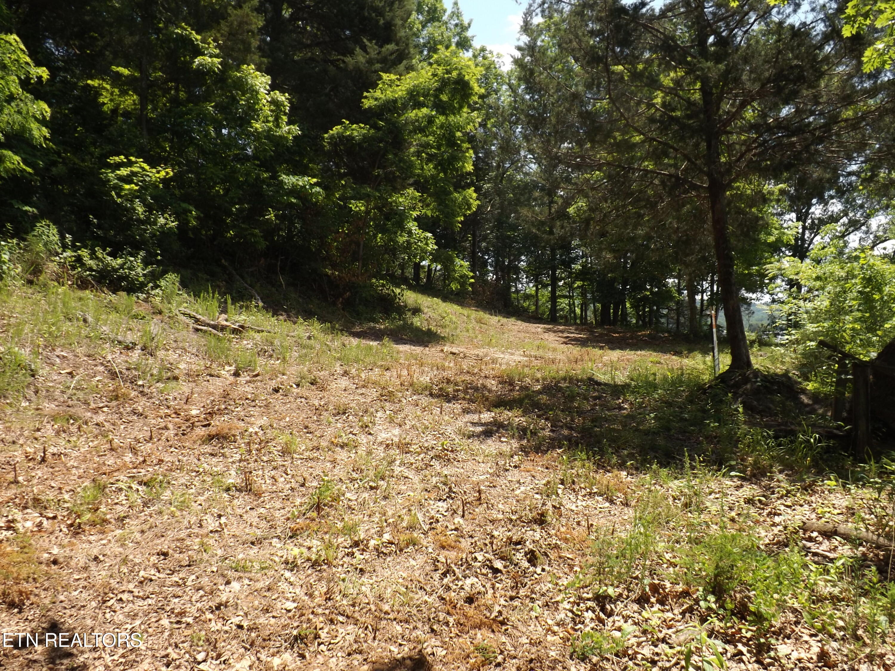 Tbd Lake Hollow Road Speedwell, TN 37870 - Photo 11 of 17 DSCF1763