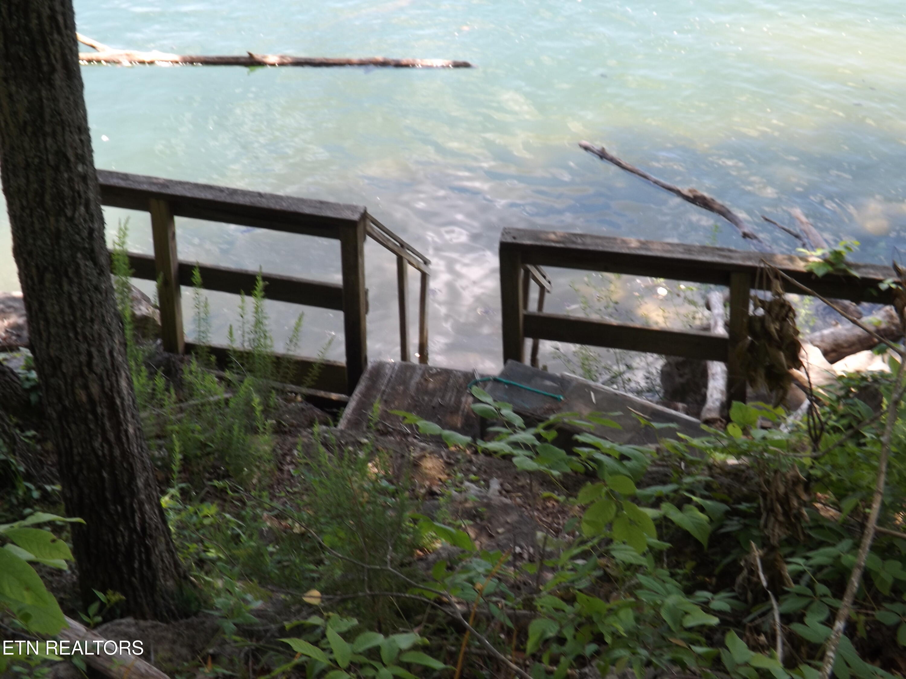 Tbd Lake Hollow Road Speedwell, TN 37870 - Photo 12 of 17 DSCF1768