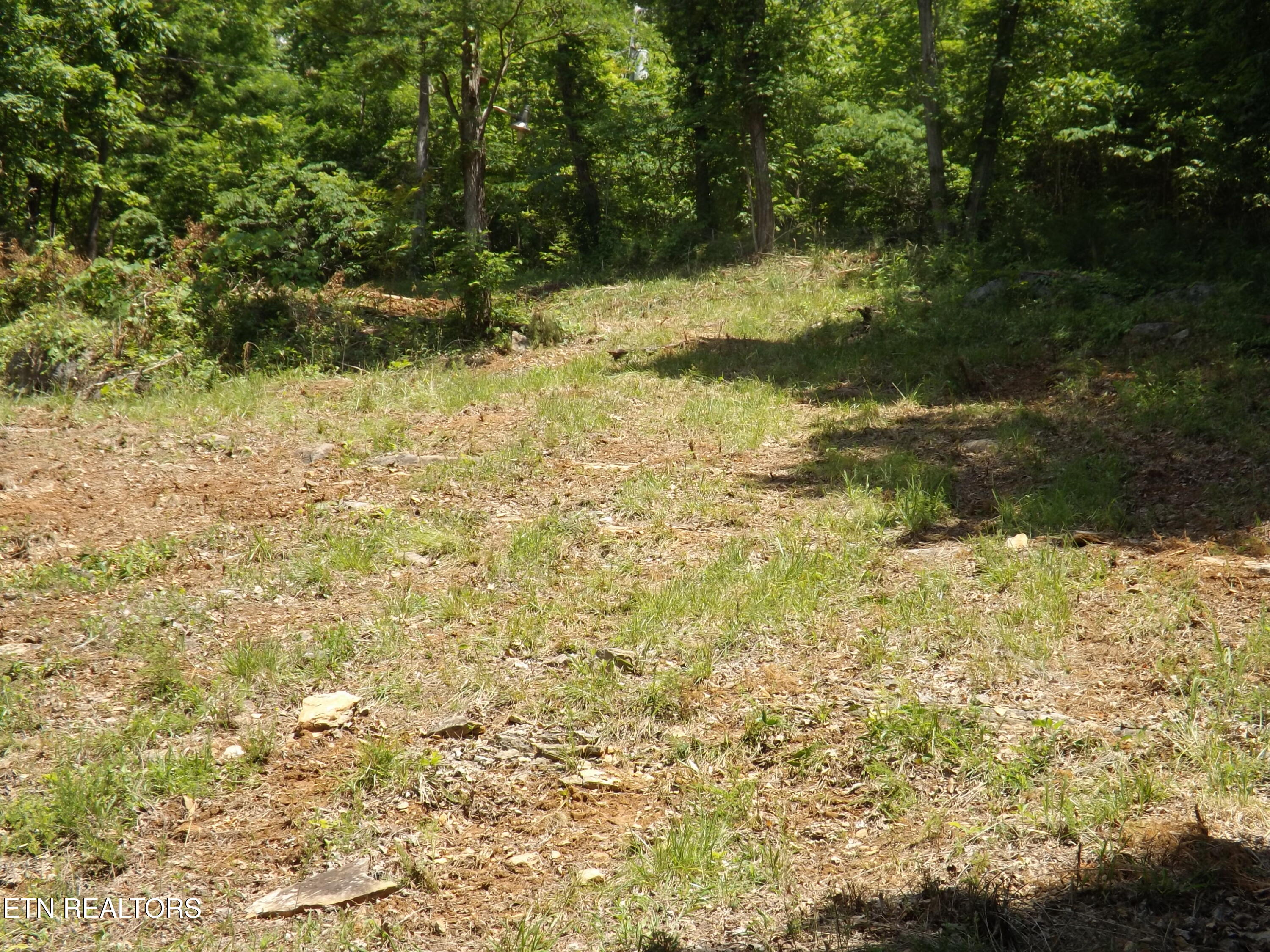 Tbd Lake Hollow Road Speedwell, TN 37870 - Photo 13 of 17 DSCF1770