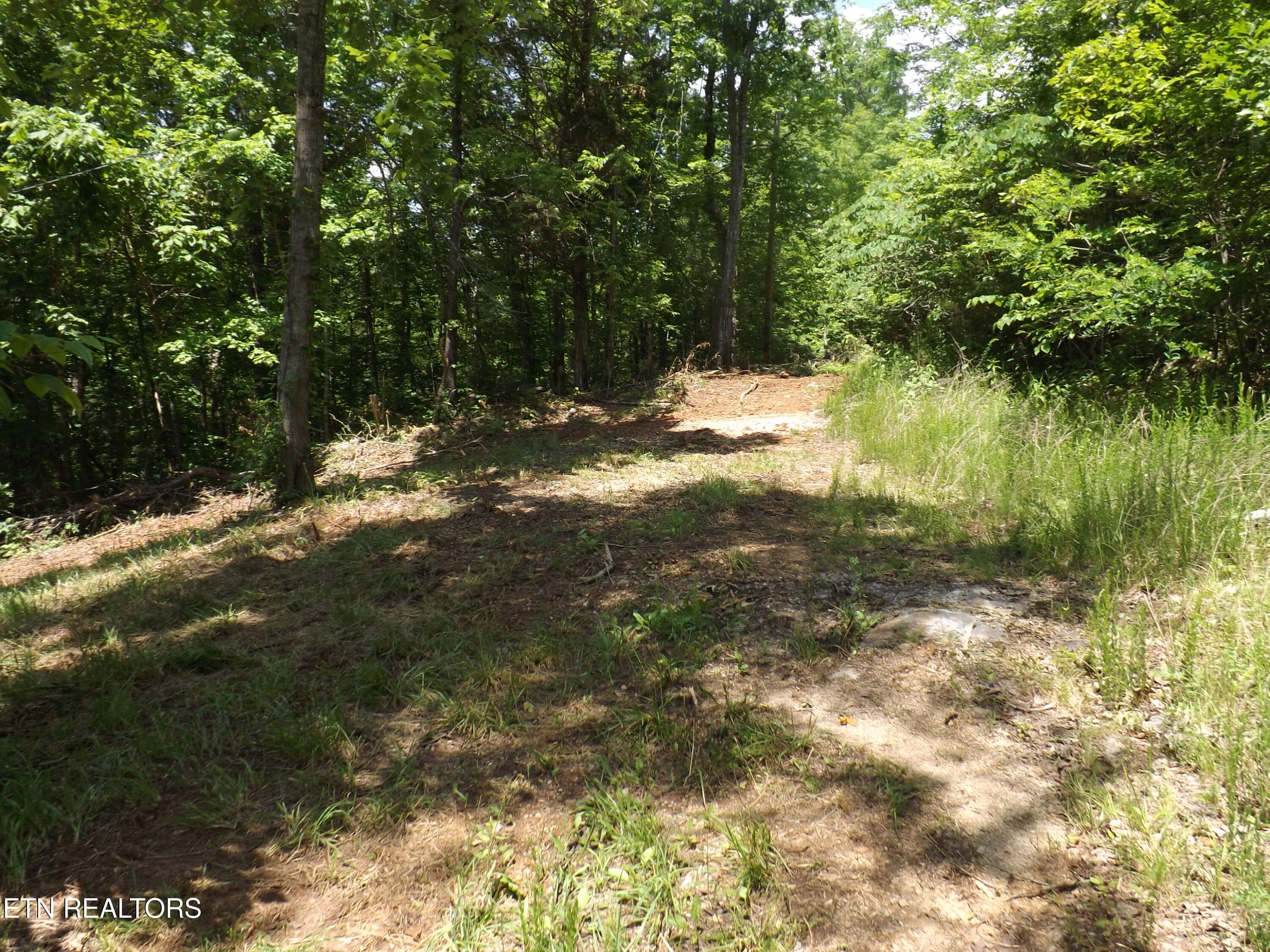 Tbd Lake Hollow Road Speedwell, TN 37870 - Photo 17 of 17 DSCF1779
