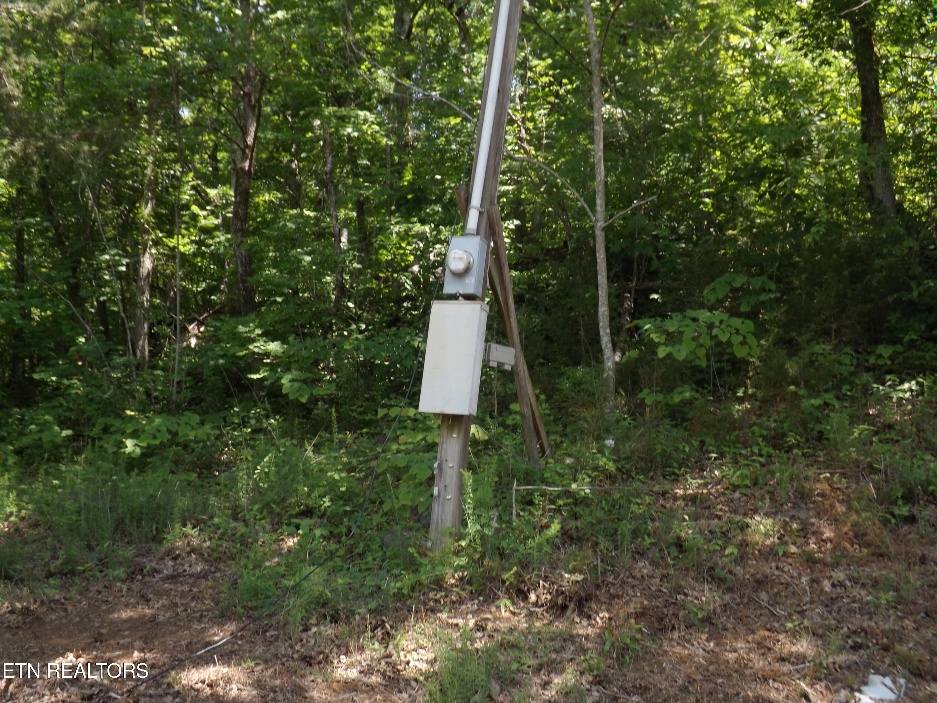 Tbd Lake Hollow Road Speedwell, TN 37870 - Photo 7 of 17 DSCF1761