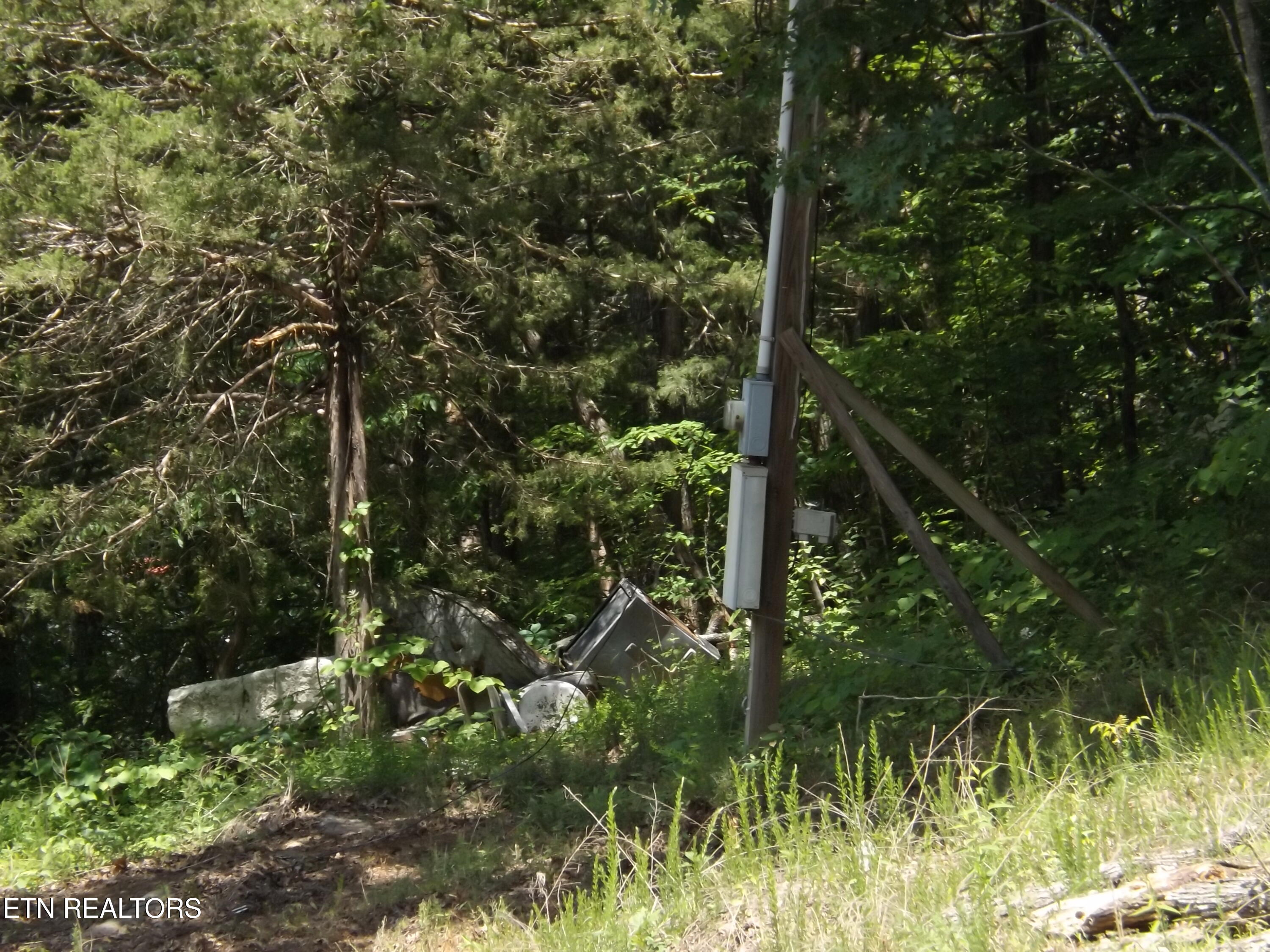 Tbd Lake Hollow Road Speedwell, TN 37870 - Photo 8 of 17 DSCF1772