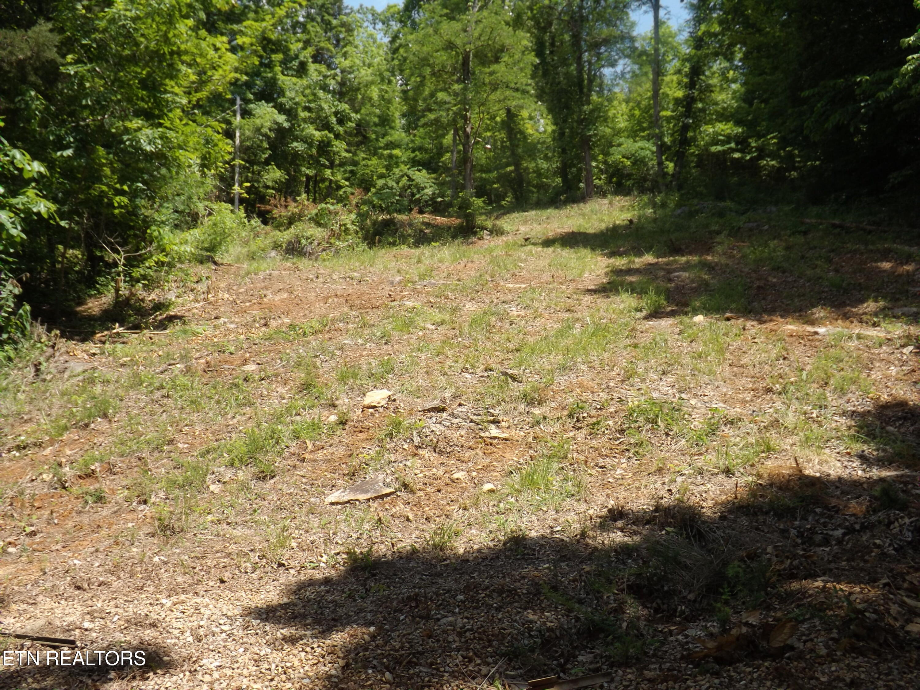 Tbd Lake Hollow Road Speedwell, TN 37870 - Photo 9 of 17 DSCF1773