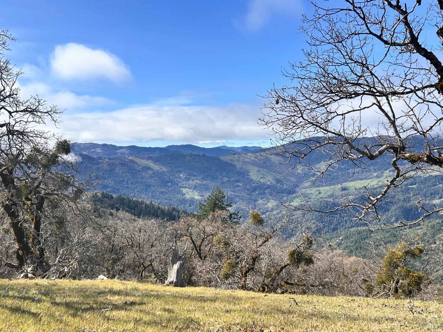 74000 Island Mountain Road Garberville, CA 95542 - Photo 17 of 36