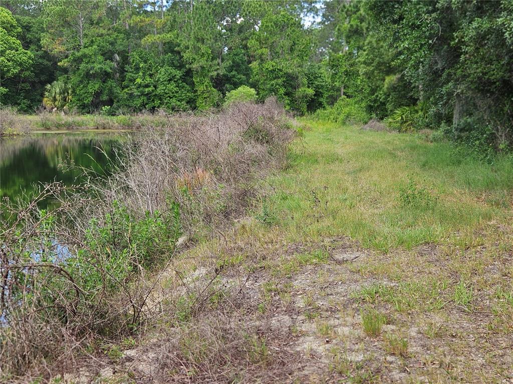 Burnsed Road Pierson, FL 32180 - Photo 3 of 11