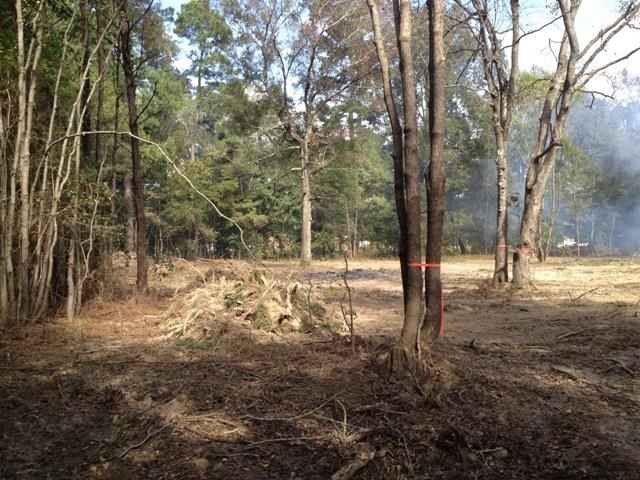 16705 Ritchie Road French Settlement, LA 70733 - Photo 5 of 8 Gallery Image 5