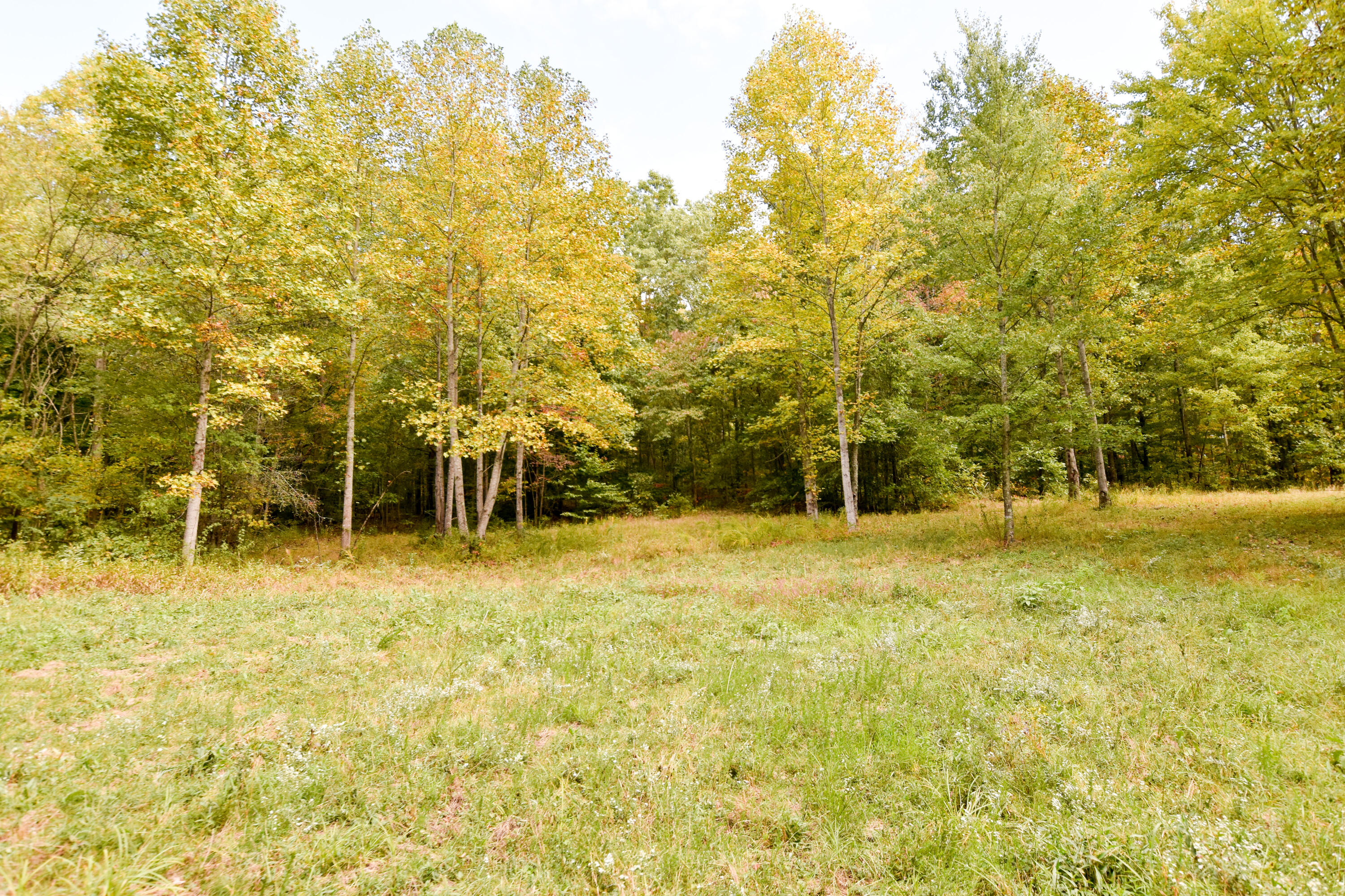 2390 Beechy Creek Road Wallingford, KY 41093 - Photo 73 of 89 DSC_0135