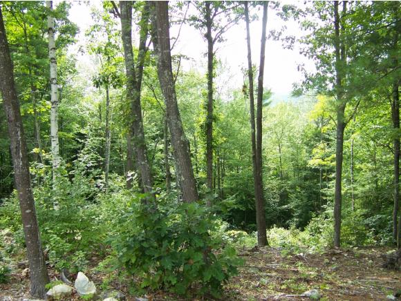 41 Moose Mountain Road Brookfield, NH 03872 - Photo 8 of 25 Gallery Image 8
