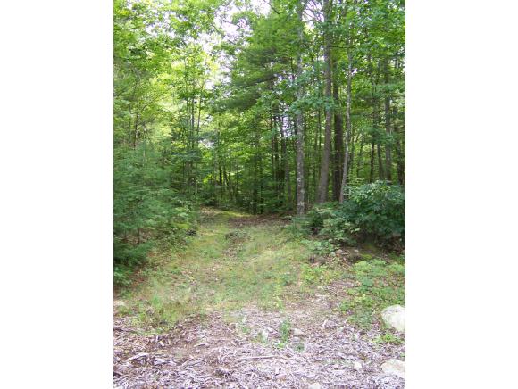 41 Moose Mountain Road Brookfield, NH 03872 - Photo 9 of 25 Gallery Image 9