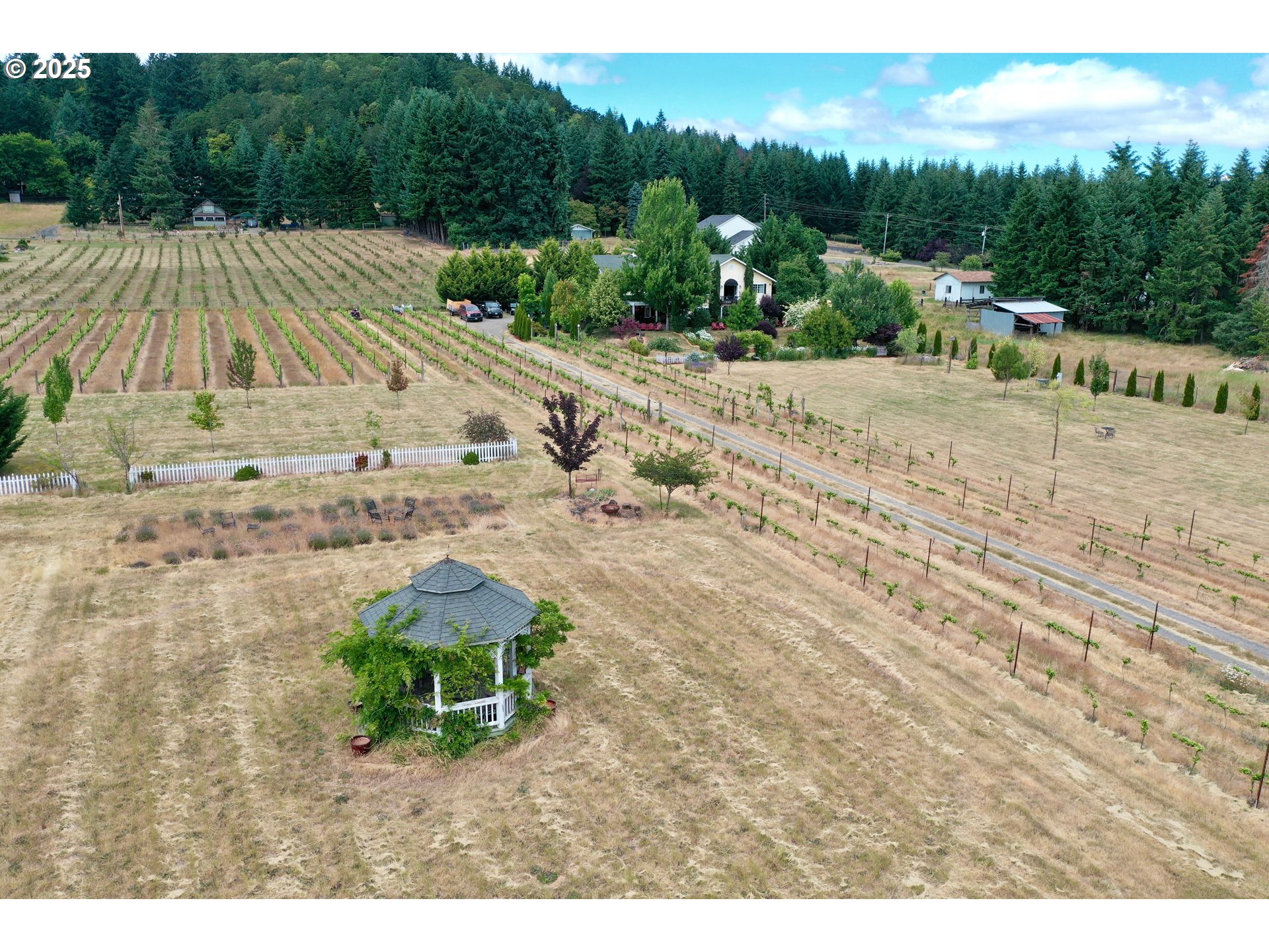 24880 Orchard Tract Road Monroe, OR 97456 - Photo 3 of 46