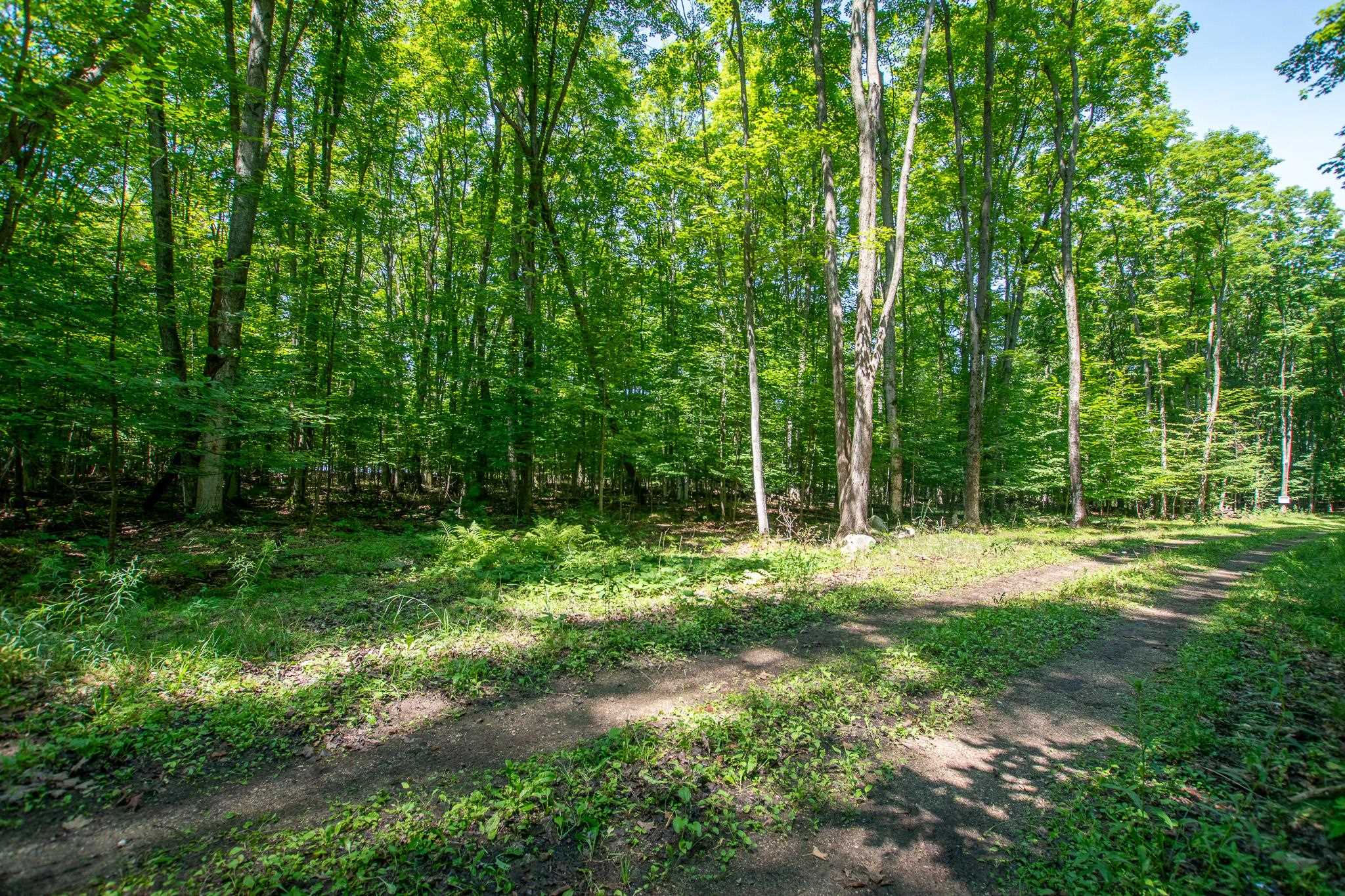 0 Tompkins Wds Road Traverse City, MI 49686 - Photo 26 of 45 Gallery Image 26