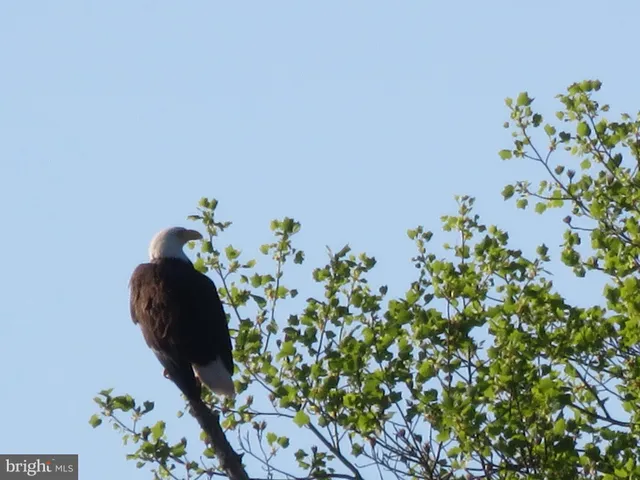 $545,000 | 15630 Cliff Swallow Way, Rockville, MD 20853