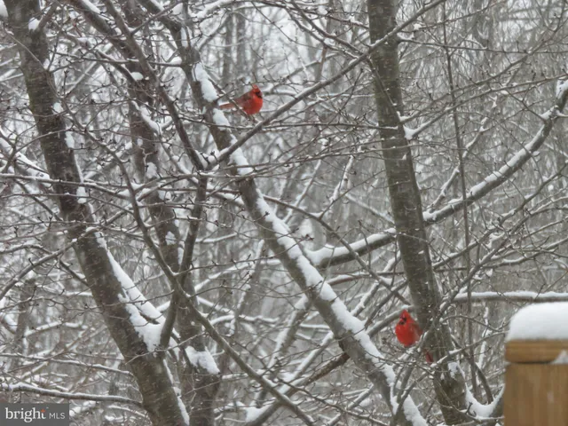 $545,000 | 15630 Cliff Swallow Way, Rockville, MD 20853