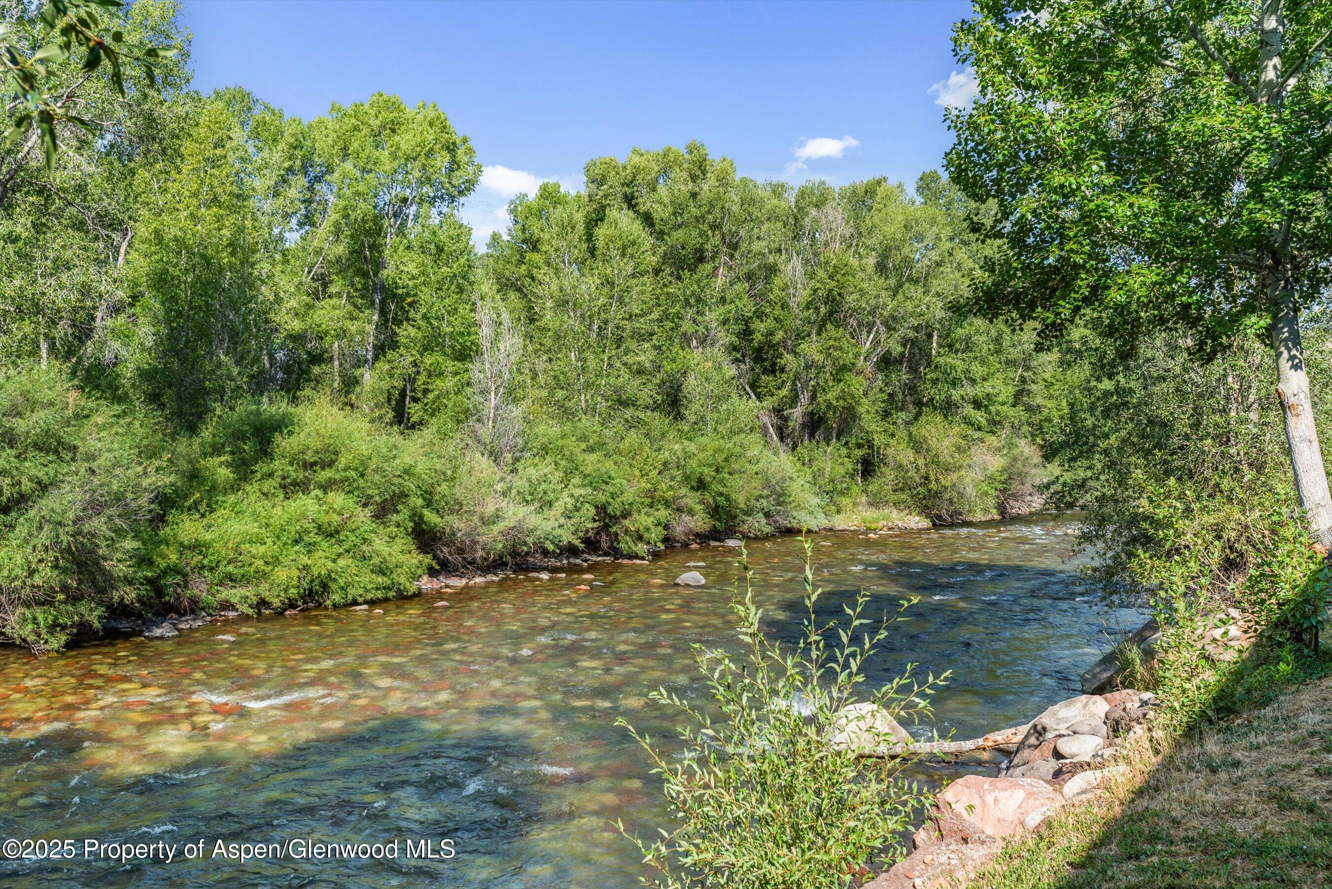 23284 2 Rivers Road, Unit 13 Basalt, CO 81621 - Photo 16 of 16 a view of a yard with a tree
