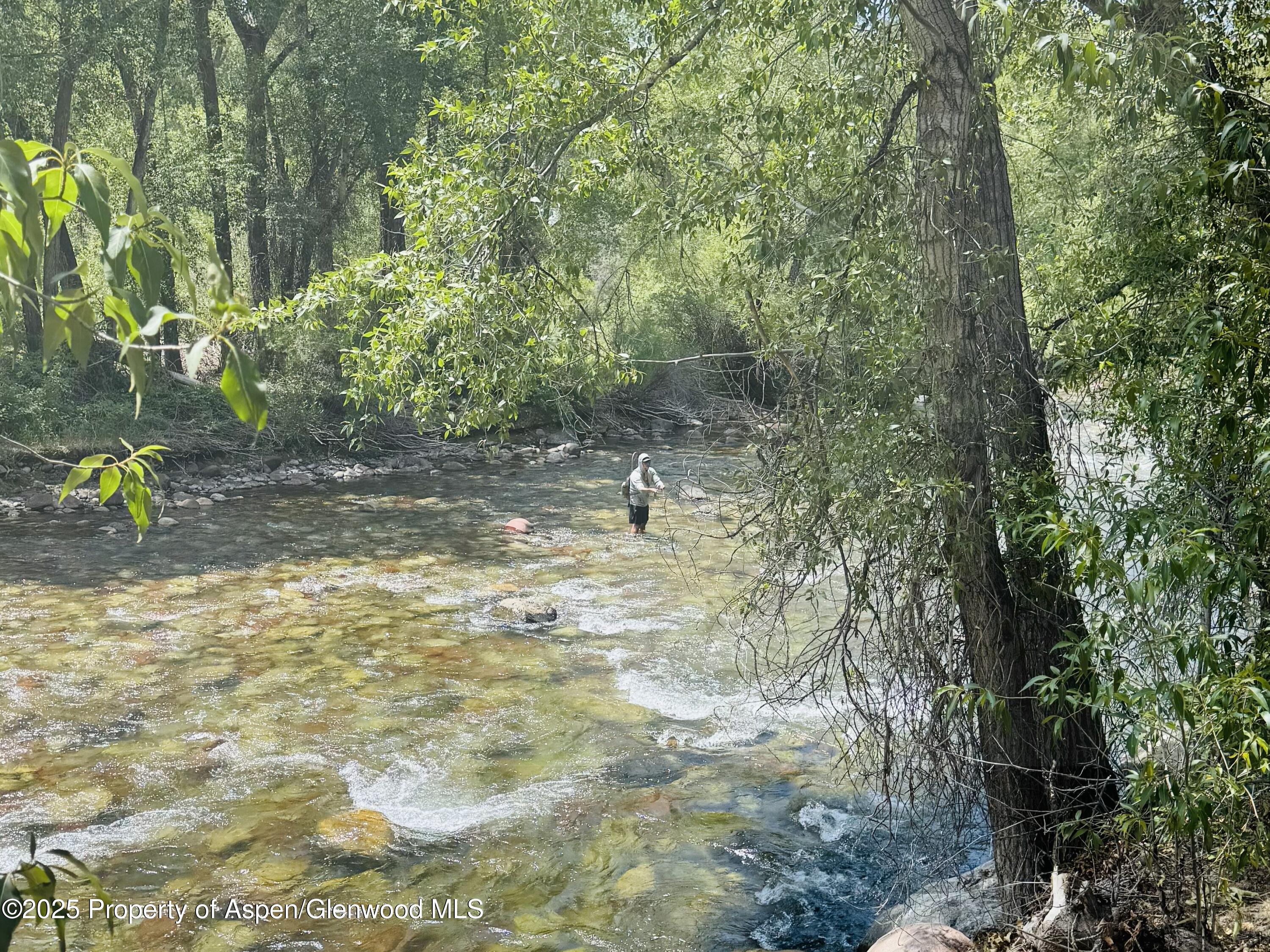 23284 2 Rivers Road, Unit 13 Basalt, CO 81621 - Photo 2 of 16 a backyard of a house with lots of green space
