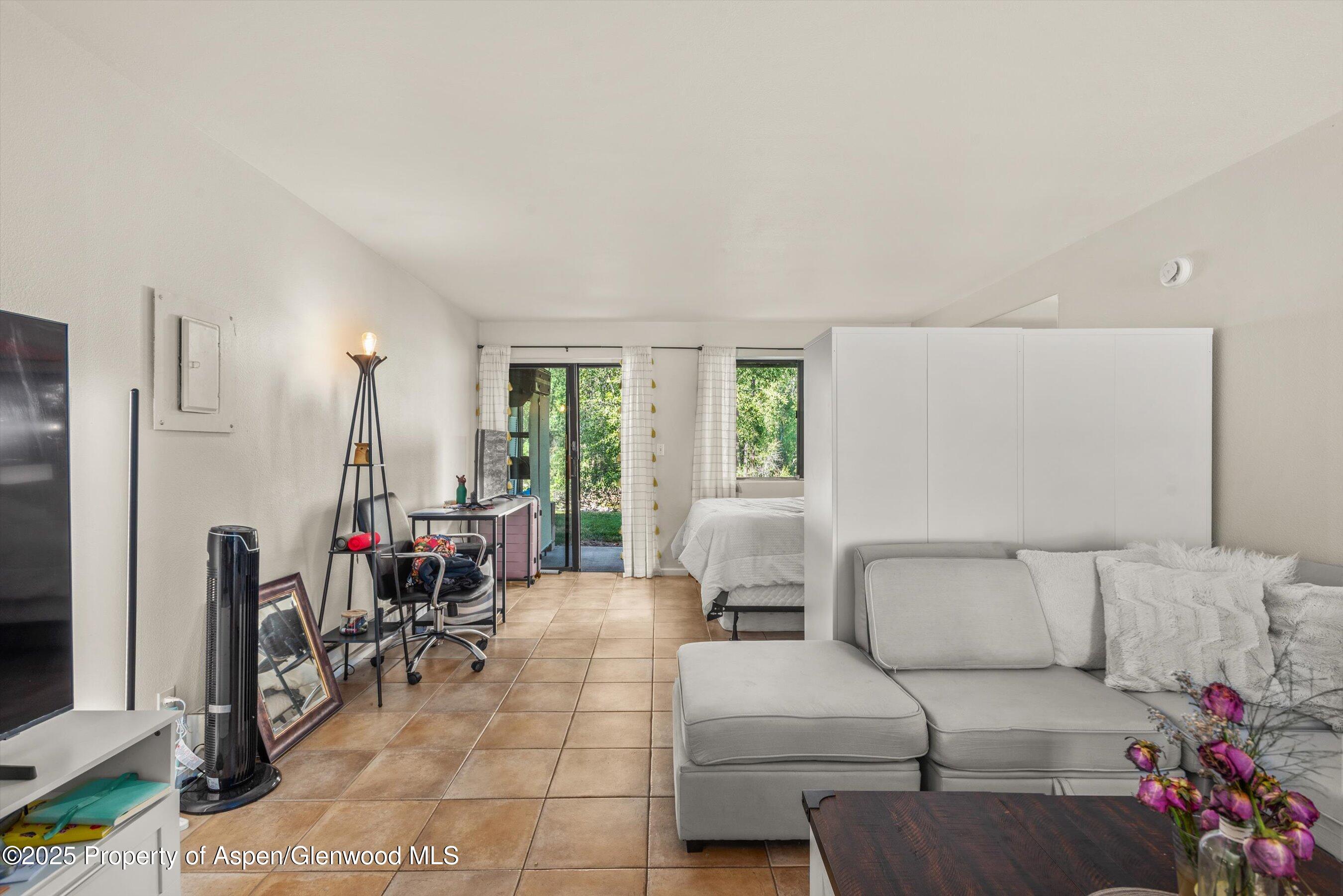 23284 2 Rivers Road, Unit 13 Basalt, CO 81621 - Photo 4 of 16 a living room with furniture and a large window