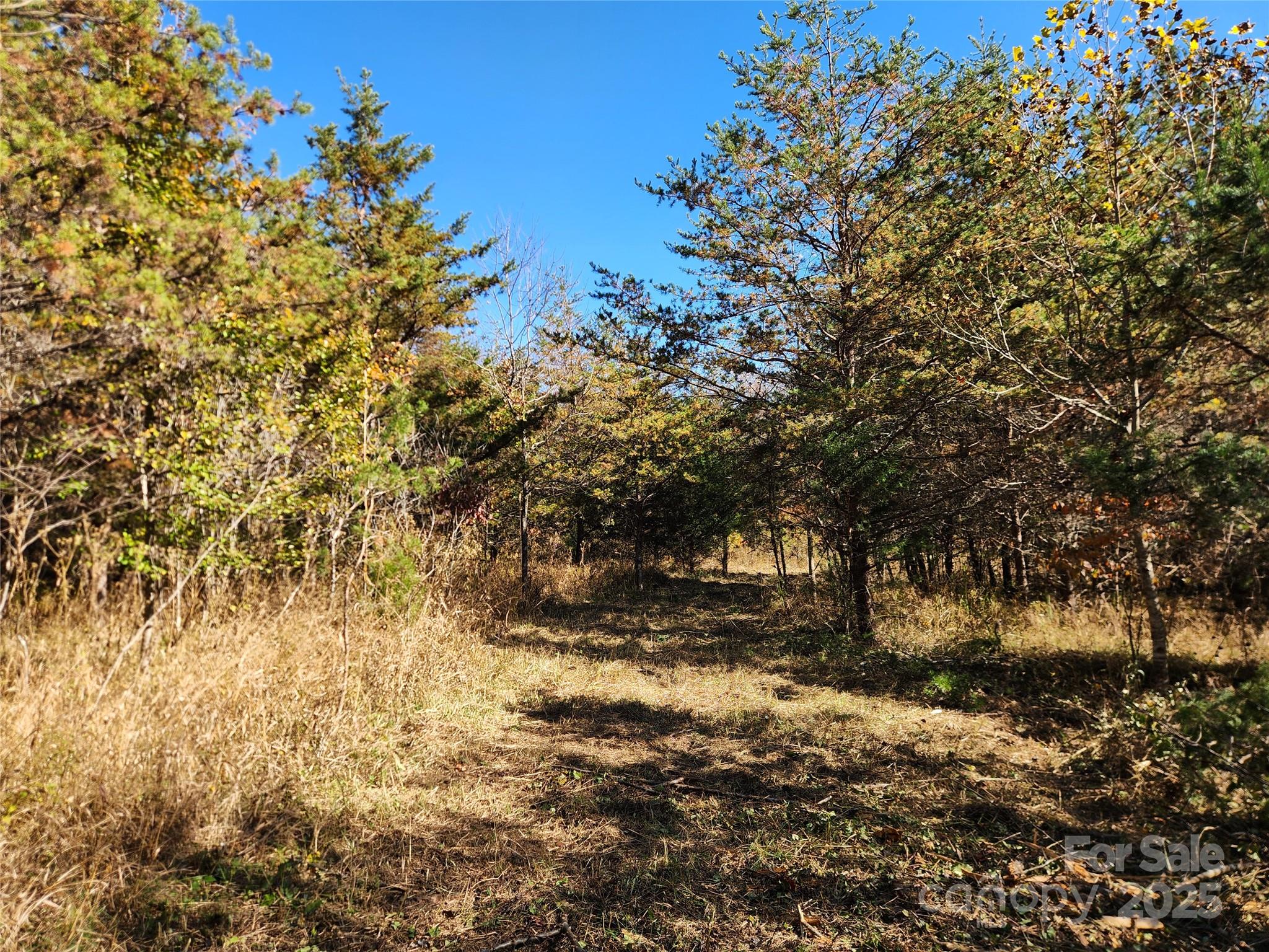 701 Moravian Falls Road Wilkesboro, NC 28697 - Photo 14 of 30 a view of mountain view