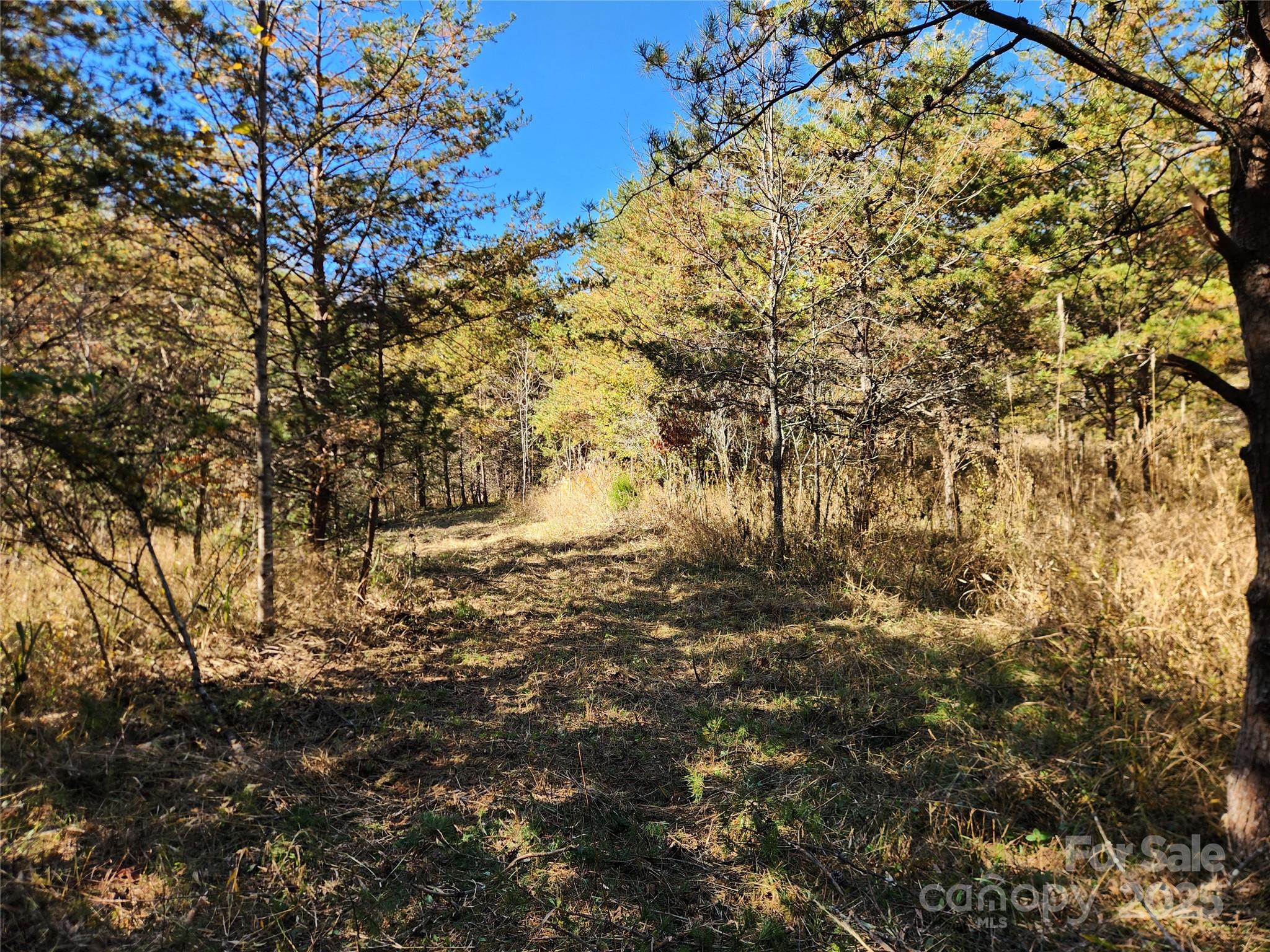 701 Moravian Falls Road Wilkesboro, NC 28697 - Photo 15 of 30 a view of mountain covered with green space