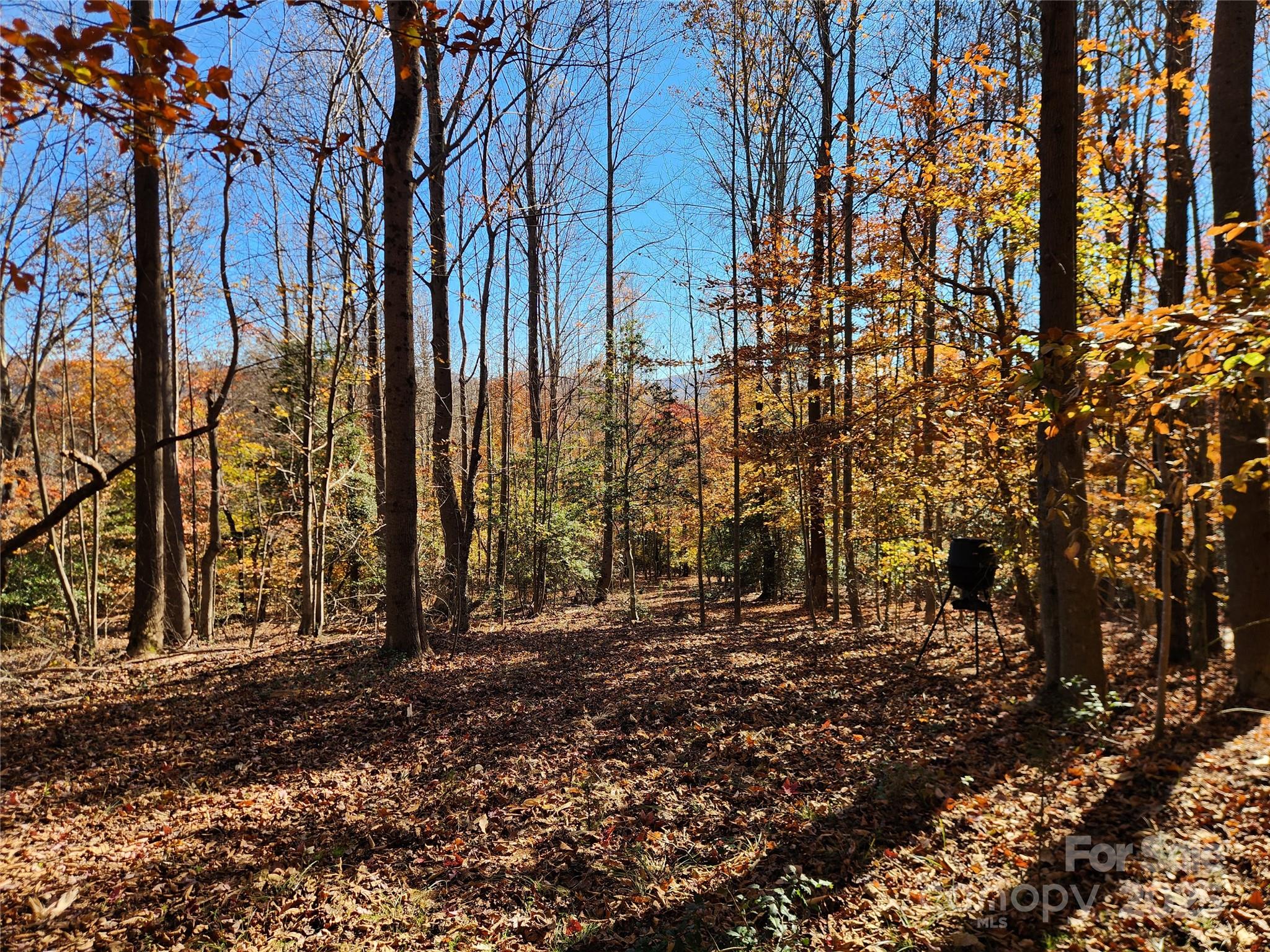 701 Moravian Falls Road Wilkesboro, NC 28697 - Photo 23 of 30 a backyard of a house with lots of green space