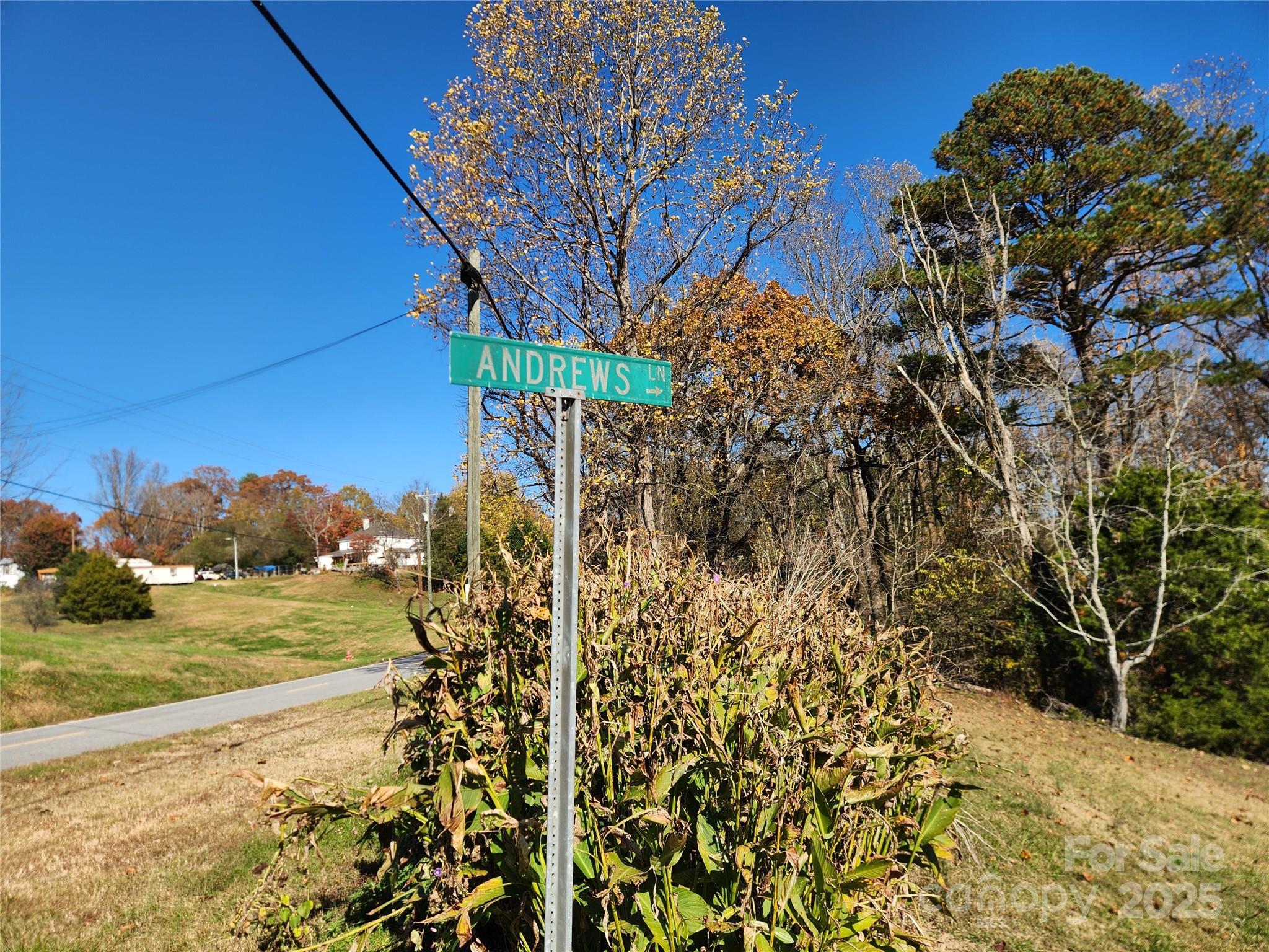 701 Moravian Falls Road Wilkesboro, NC 28697 - Photo 25 of 30 a view of a yard with an trees