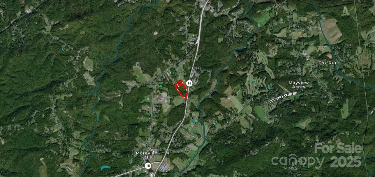 701 Moravian Falls Road Wilkesboro, NC 28697 - Photo 26 of 30 a view of a lush green forest with lots of trees