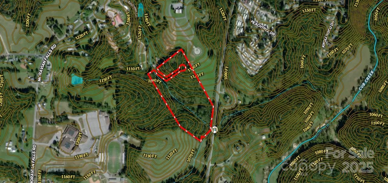 701 Moravian Falls Road Wilkesboro, NC 28697 - Photo 27 of 30 a close up of a plant in a garden