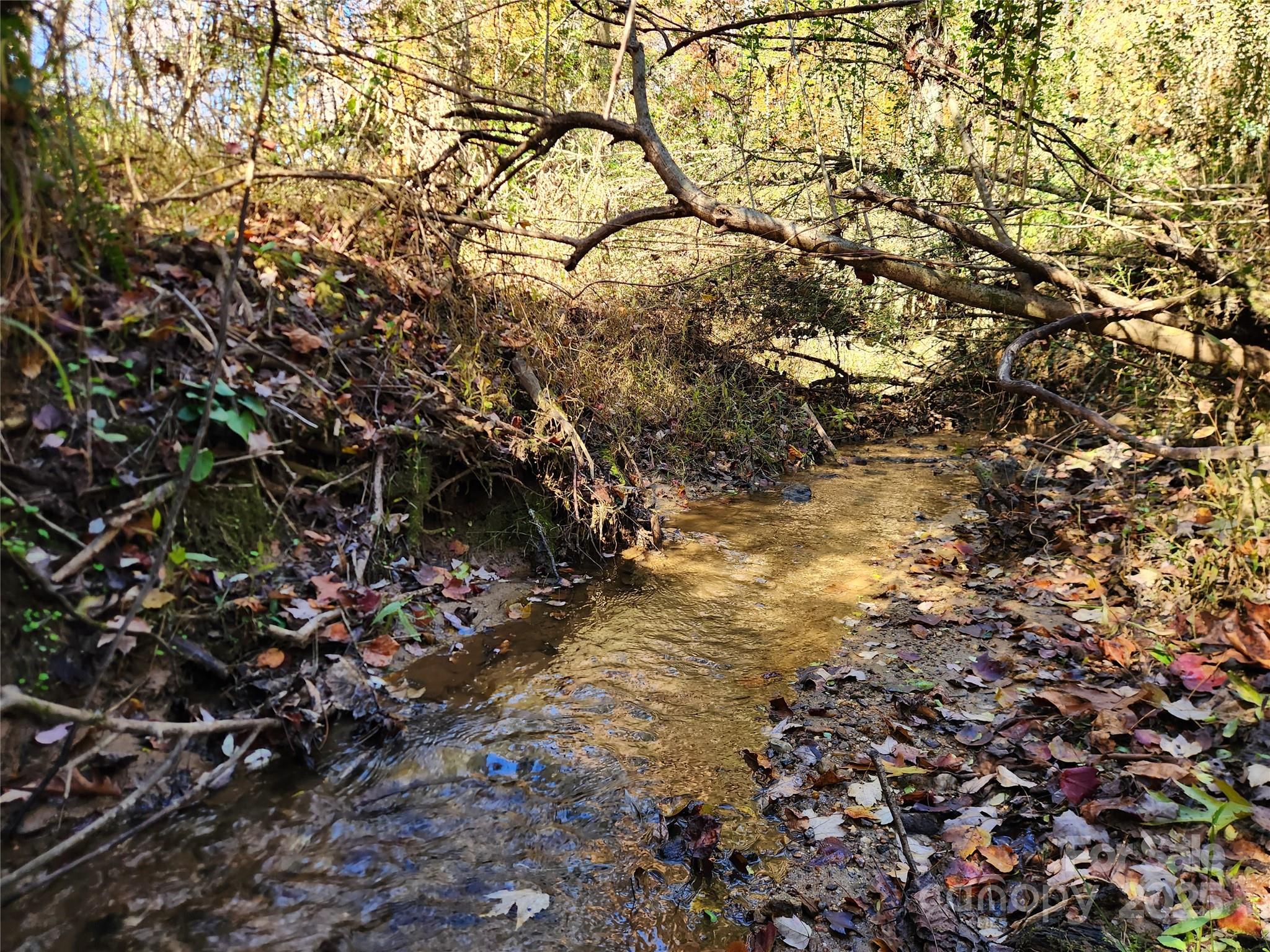 701 Moravian Falls Road Wilkesboro, NC 28697 - Photo 5 of 30 a backyard of a house