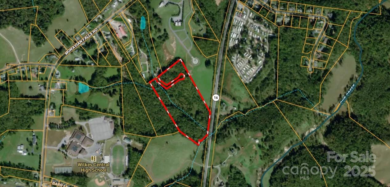 701 Moravian Falls Road Wilkesboro, NC 28697 - Photo 7 of 30 a view of a plant in a garden