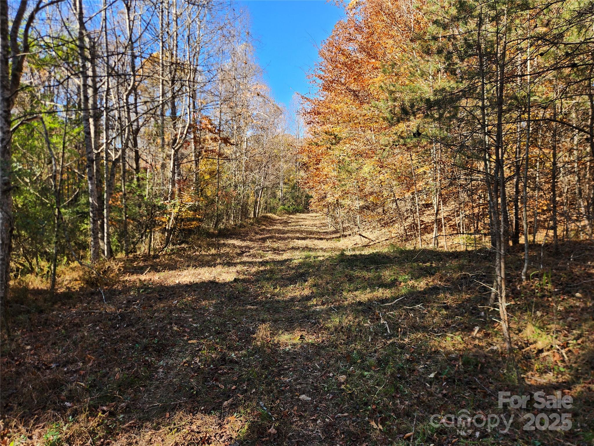 701 Moravian Falls Road Wilkesboro, NC 28697 - Photo 9 of 30 a view of outdoor space and a yard