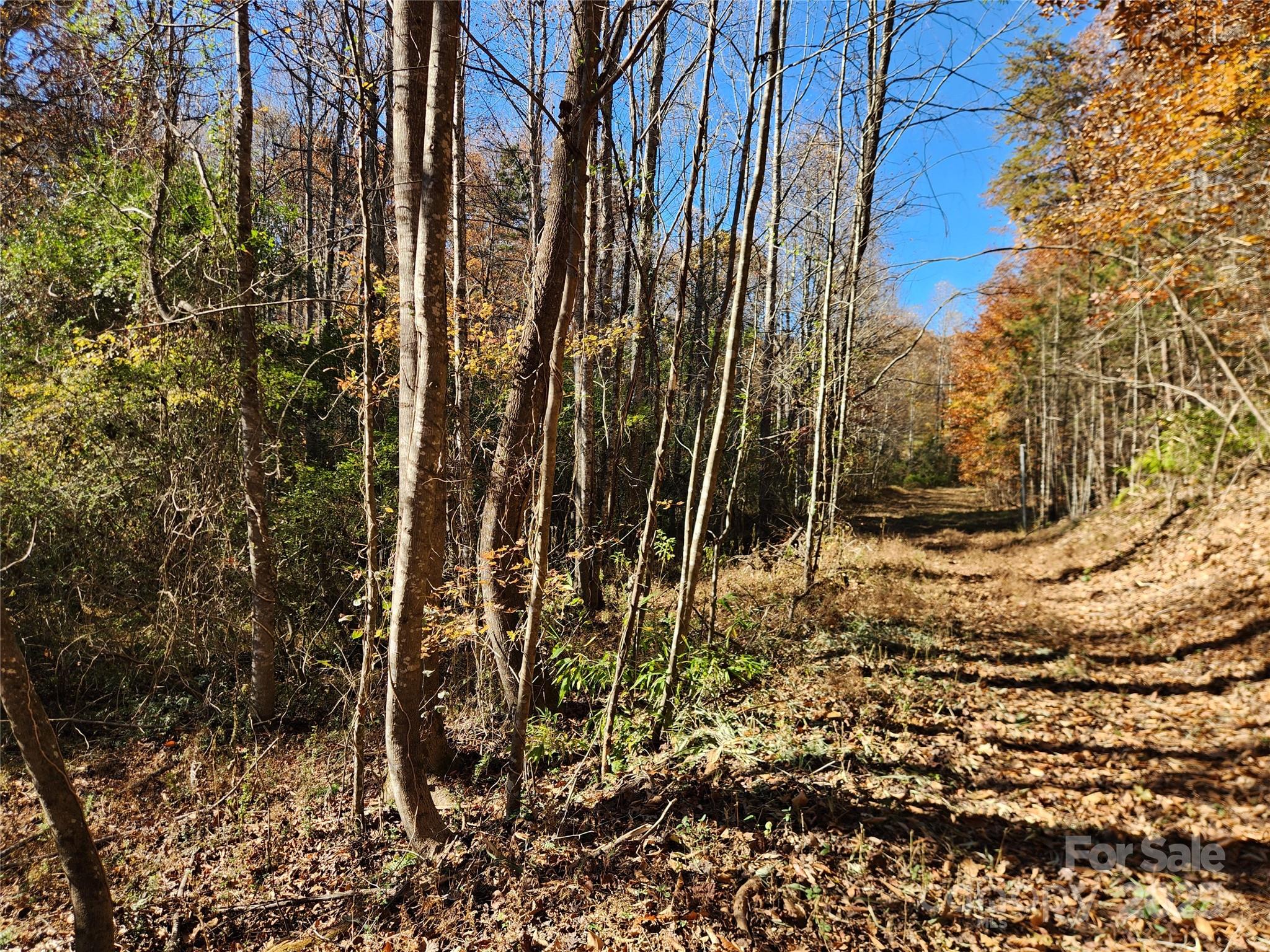 701 Moravian Falls Road Wilkesboro, NC 28697 - Photo 10 of 30 a view of outdoor space with garden