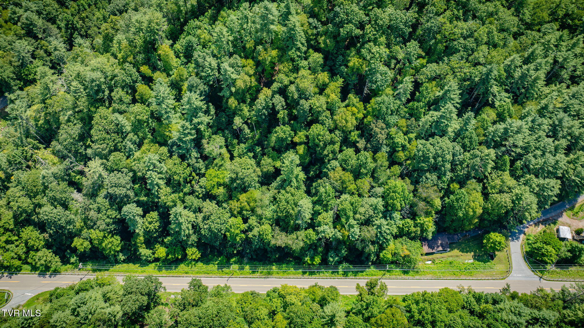 624 Whaley Town Road Butler, TN 37640 - Photo 33 of 35 101