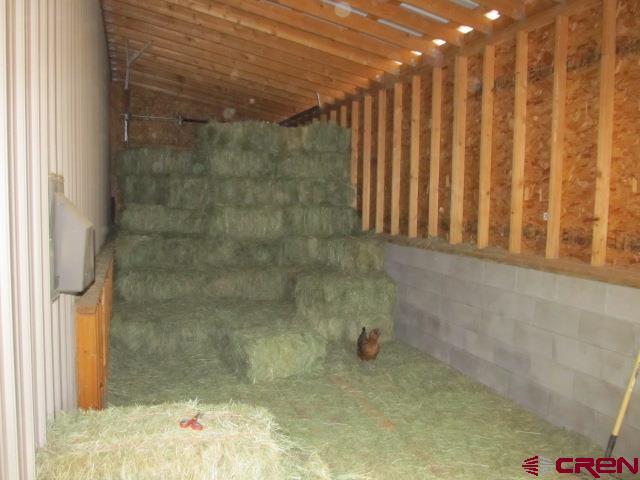 21578 Highway 65 Cedaredge, CO 81413 - Photo 12 of 35 a bathroom with a shower