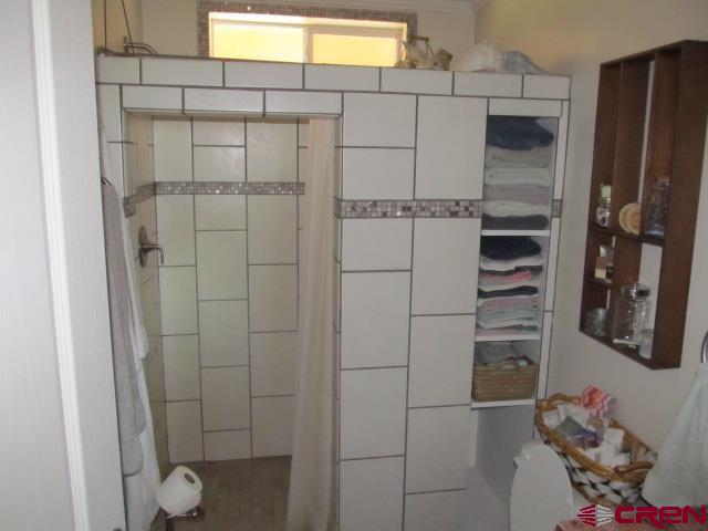 21578 Highway 65 Cedaredge, CO 81413 - Photo 22 of 35 a bathroom with a shower