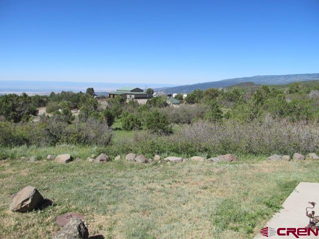 21578 Highway 65 Cedaredge, CO 81413 - Photo 28 of 35 a view of a yard with a tree