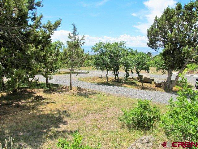 21578 Highway 65 Cedaredge, CO 81413 - Photo 33 of 35 a view of yard with tree