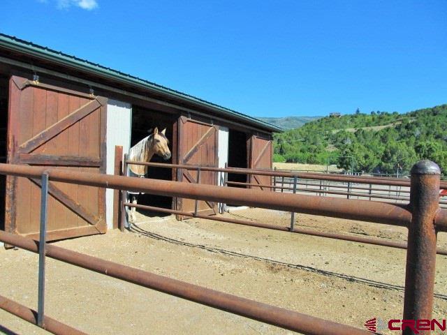 21578 Highway 65 Cedaredge, CO 81413 - Photo 8 of 35