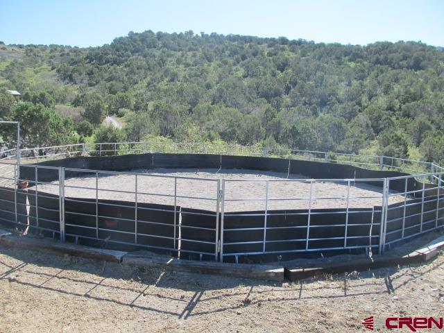 21578 Highway 65 Cedaredge, CO 81413 - Photo 9 of 35 a view of a house with a window