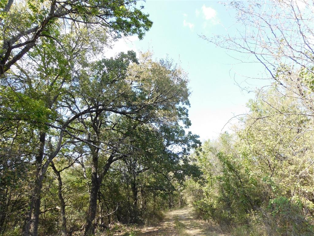 451 Hcr3335 Road Hubbard, TX 76648 - Photo 8 of 20