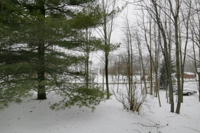 4606 Cordes Road Delton, MI 49046 - Photo 16 of 19 Additional Photo