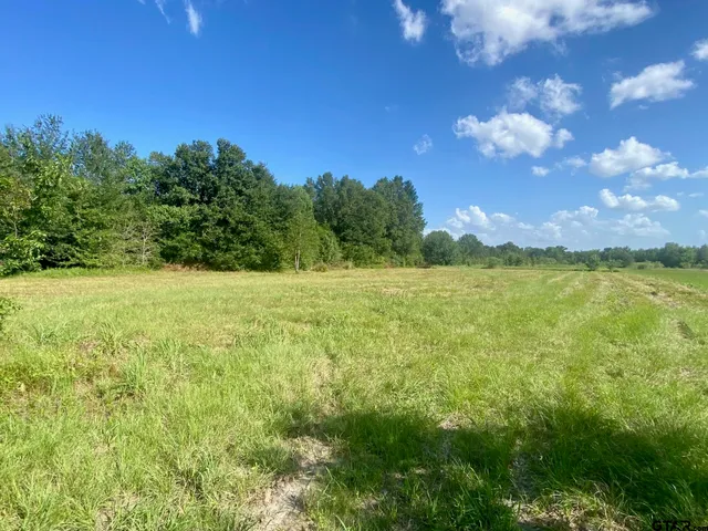 $14,000 | Lot #133 J B McDuff Drive, Crockett, TX 75835