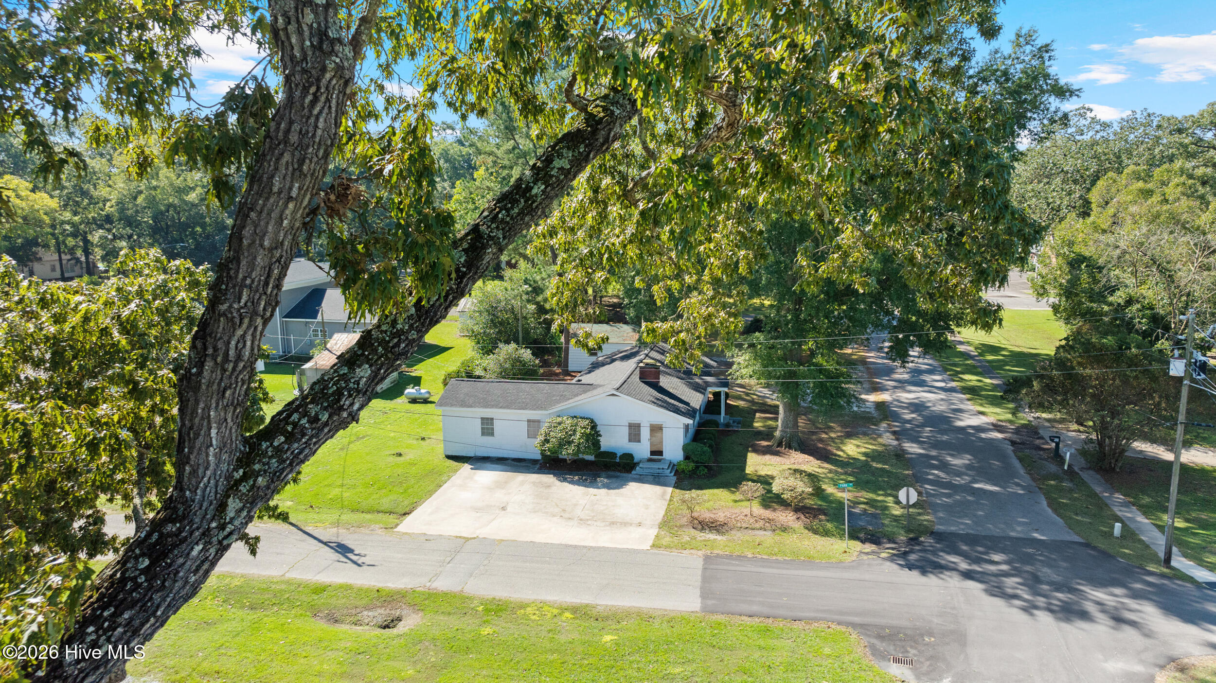 208 North Church Street Faison, NC 28341 - Photo 4 of 29 1_208 n church st-faison nc-6