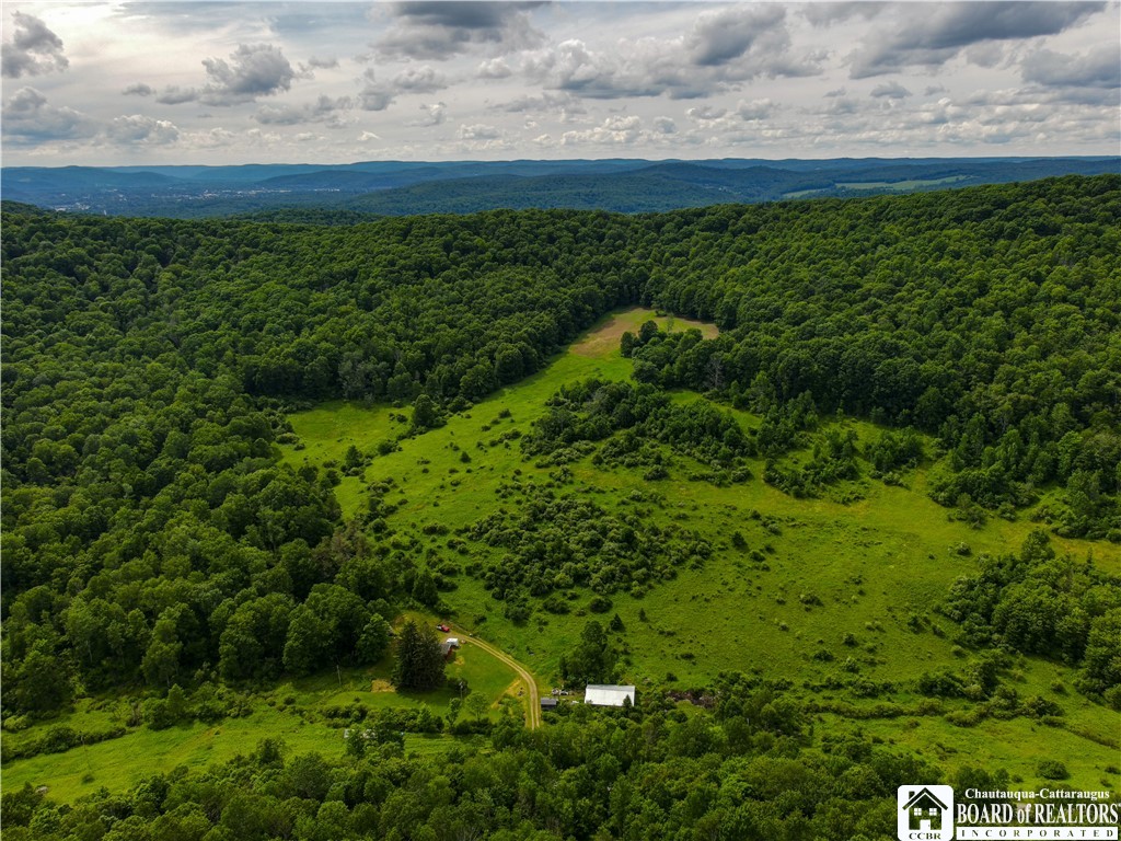 1605 Lillibridge Road Olean, NY 14760 - Photo 47 of 49