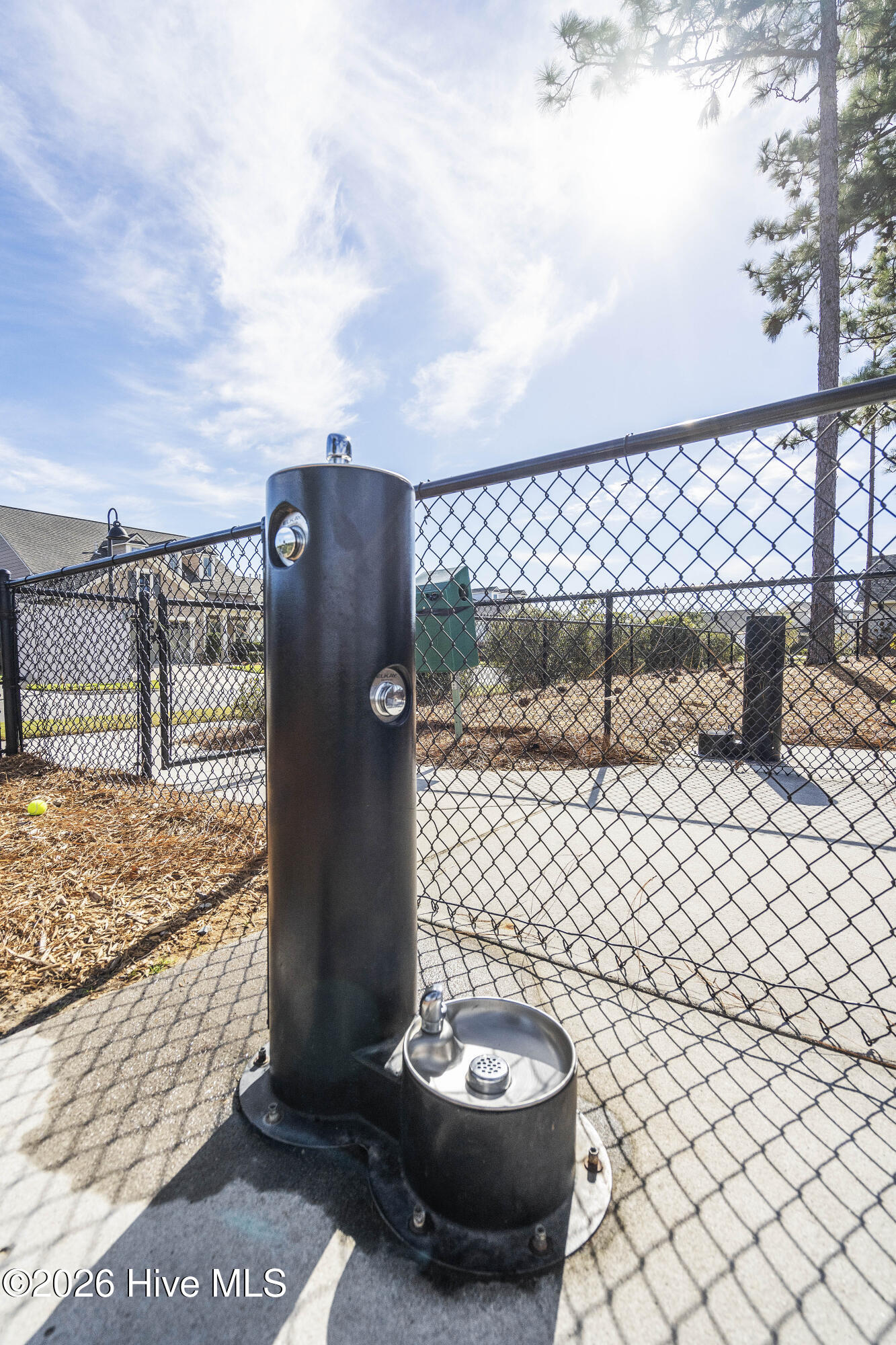1139 Snowden Road Wilmington, NC 28412 - Photo 47 of 57 Water Fountain: Dog