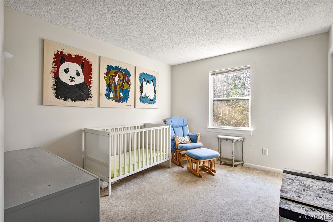 9522 Heather Ridge North Chesterfield, VA 23237 - Photo 20 of 25 Gallery Image 20