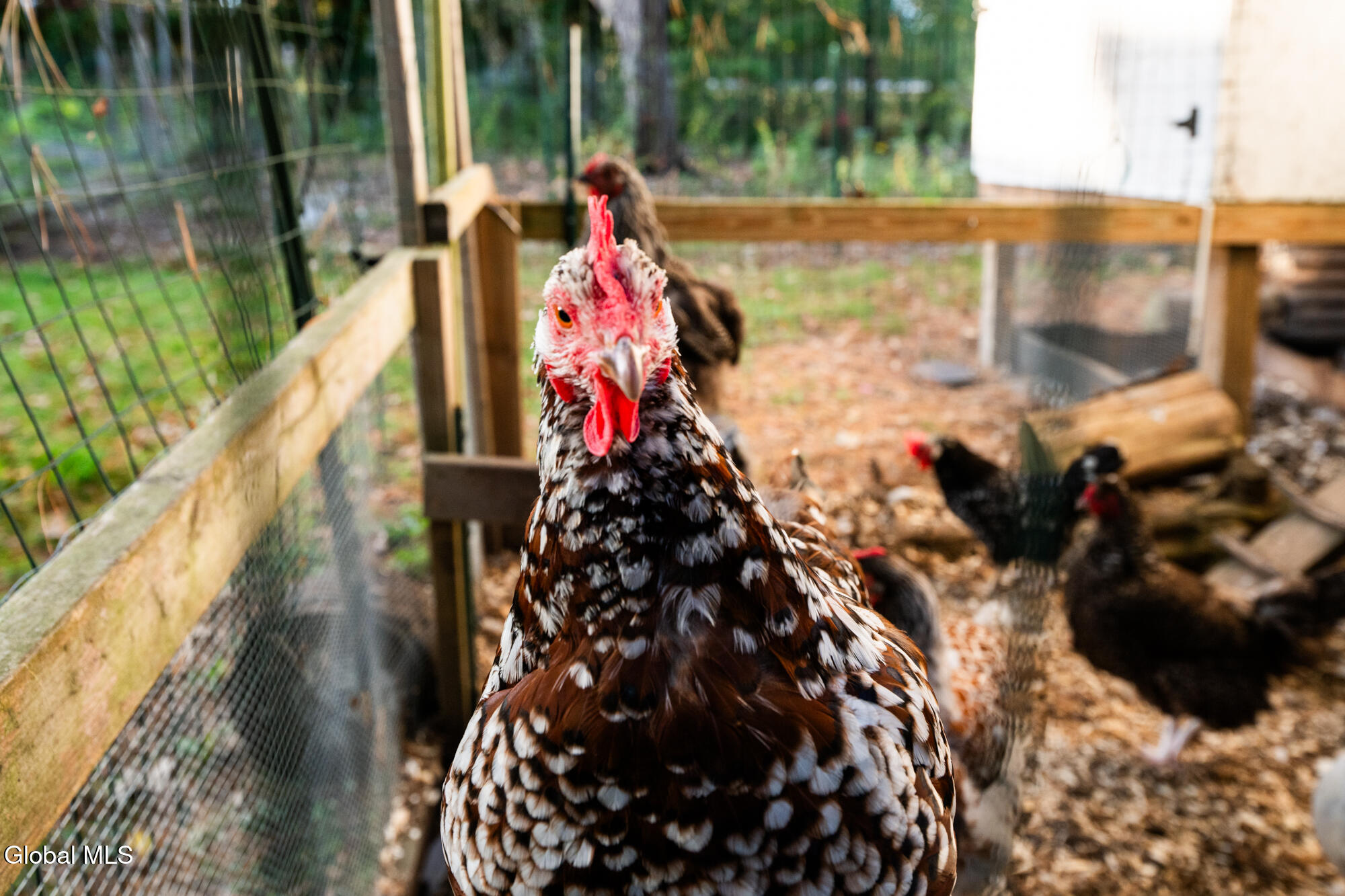 261 Old Post Road Malta, NY 12020 - Photo 47 of 48 _NZB5806