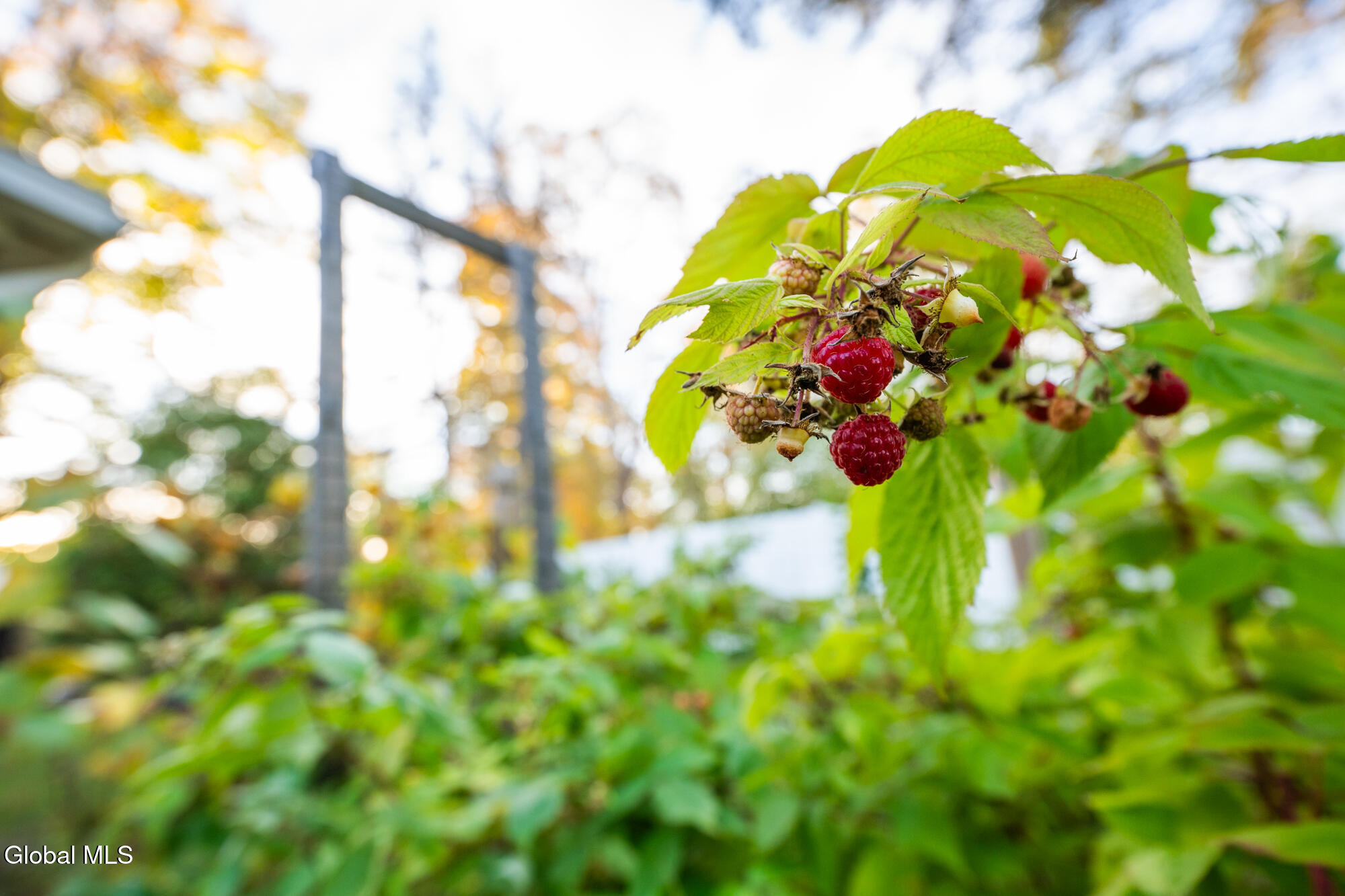 261 Old Post Road Malta, NY 12020 - Photo 8 of 48 _NZB5832